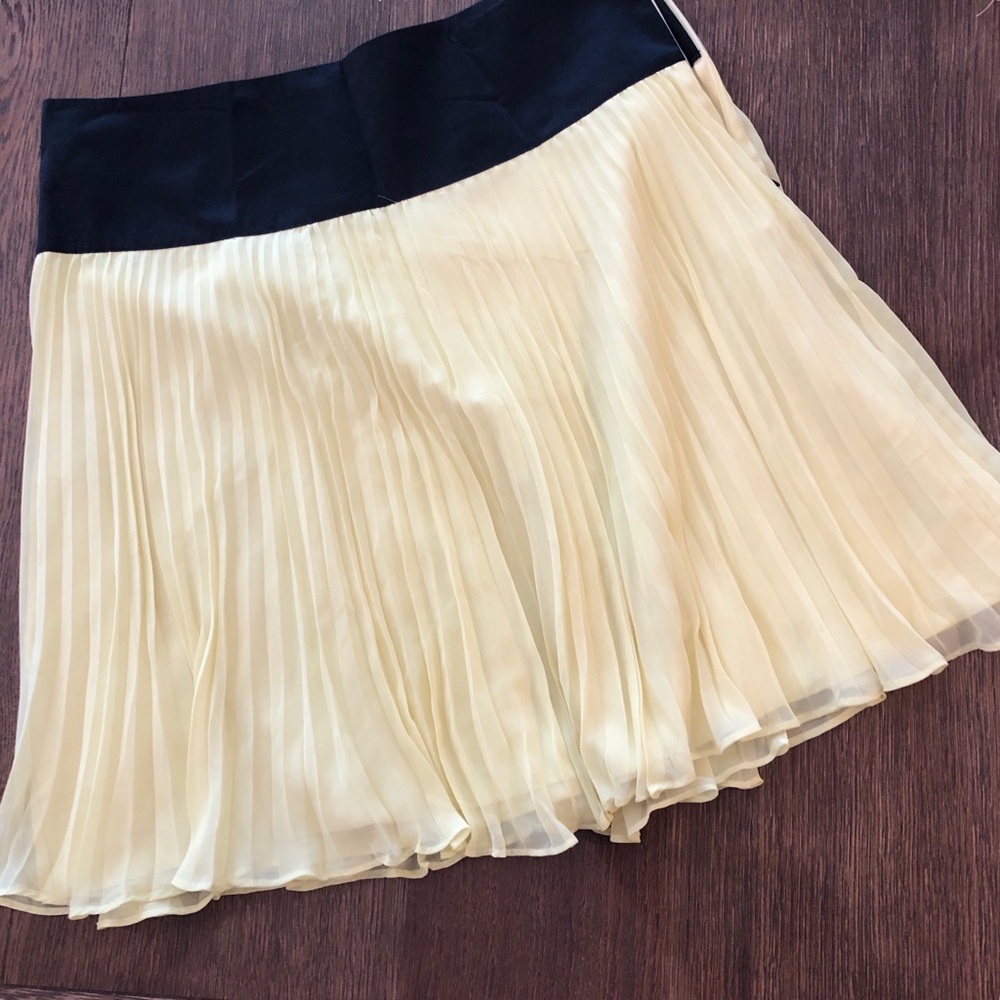 New! The Limited Mini Pleated Skirt